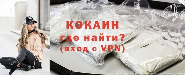 стаф Аркадак
