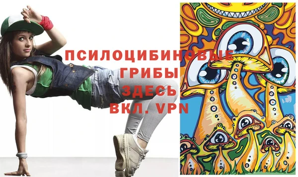 спиды Арсеньев