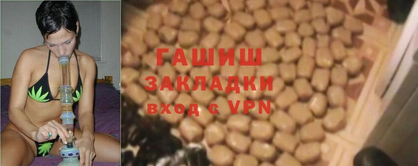 стаф Аркадак