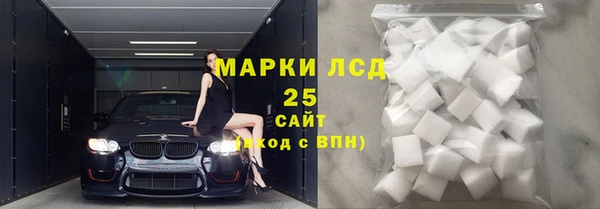 стаф Аркадак