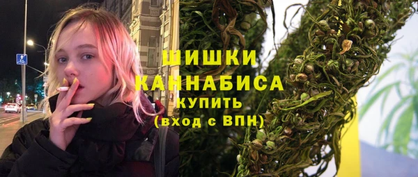 стаф Аркадак