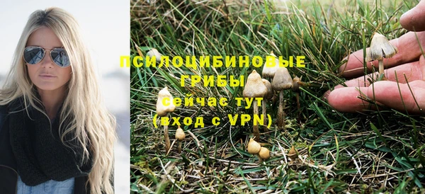 стаф Аркадак