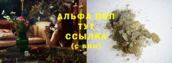 стаф Аркадак