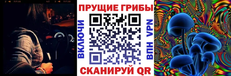 кракен рабочий сайт  наркотики  Давлеканово  Галлюциногенные грибы Psilocybe 